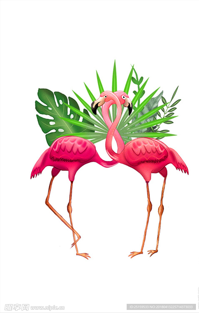 火烈鸟