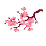 矢量手绘花