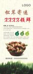 快递松茸展架