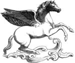 版画系列  插画  飞马