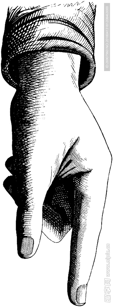 版画系列  插画 手指 素描