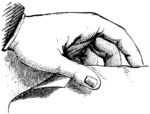 版画系列  插画 手