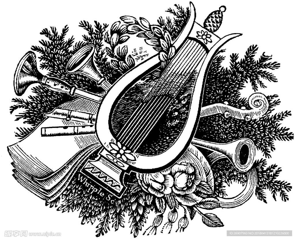 版画系列  插画 琴 素描