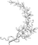 版画系列  花纹 花边 素描