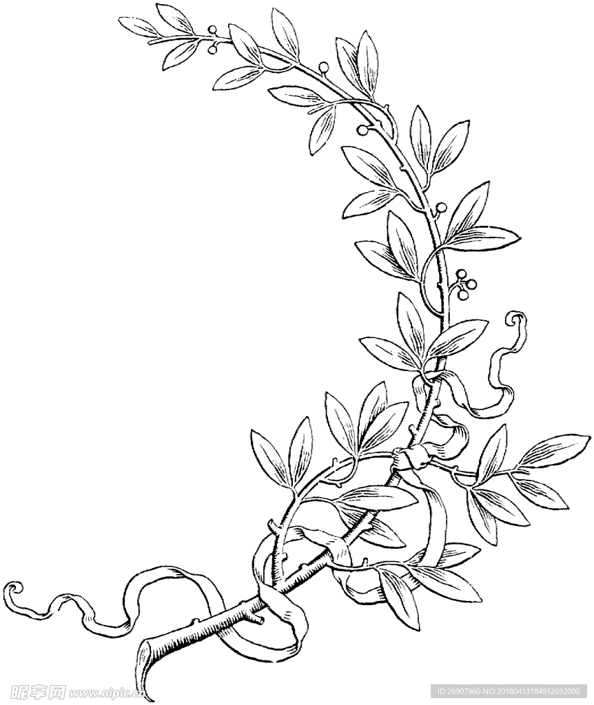 版画系列  花纹 花边 素描