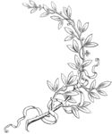 版画系列  花纹花边