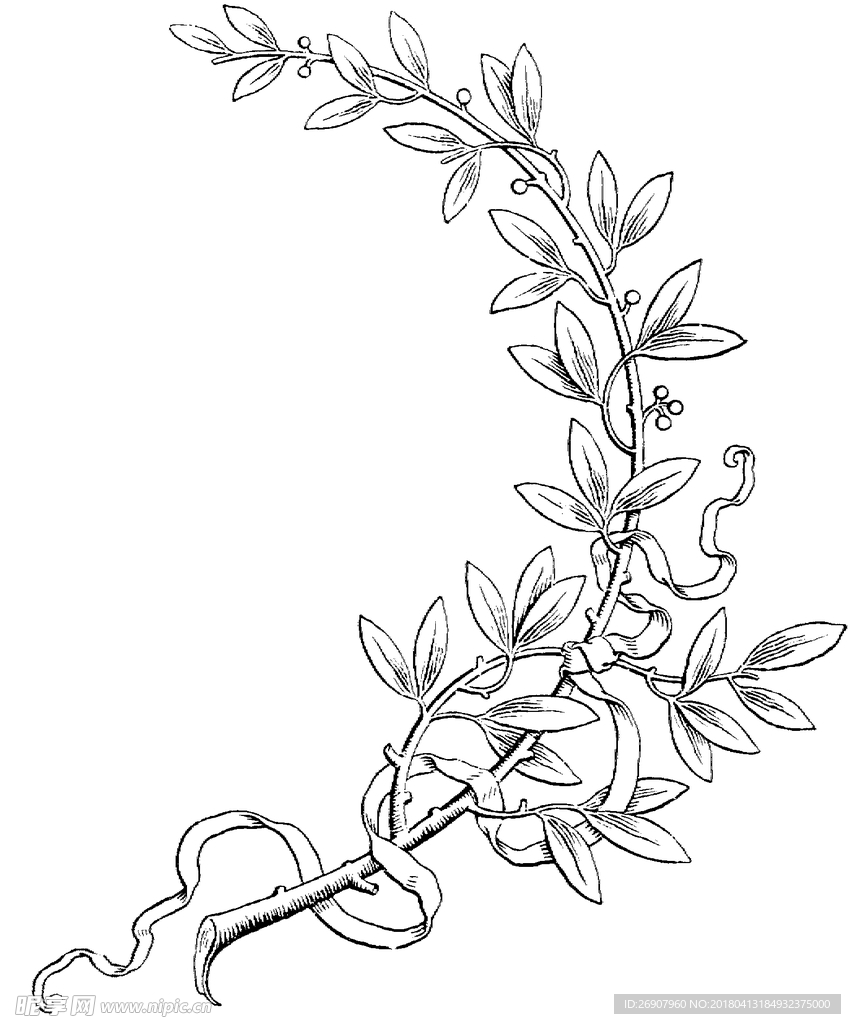 版画系列  花纹花边