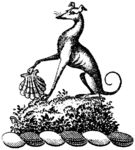 版画系列  插图 动物