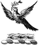 版画系列  插图 飞鸟 树枝