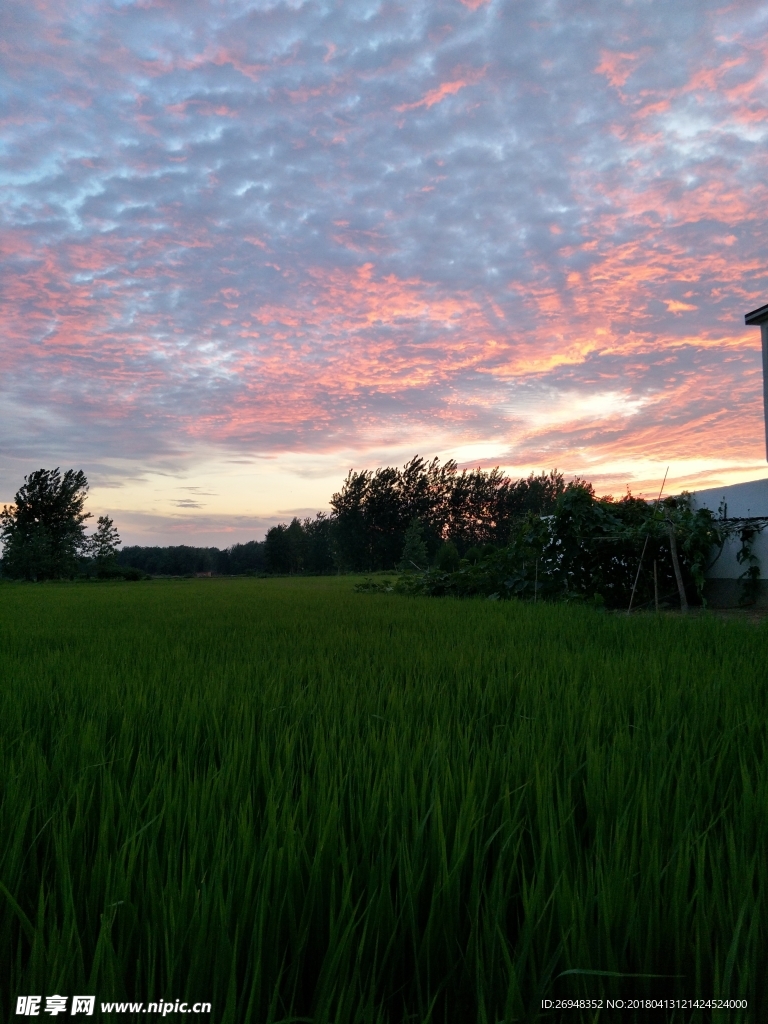 田野风景图