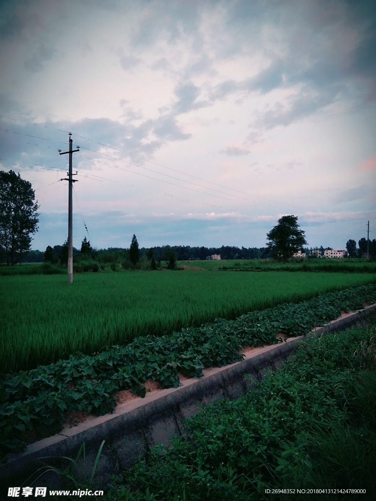 田野风光