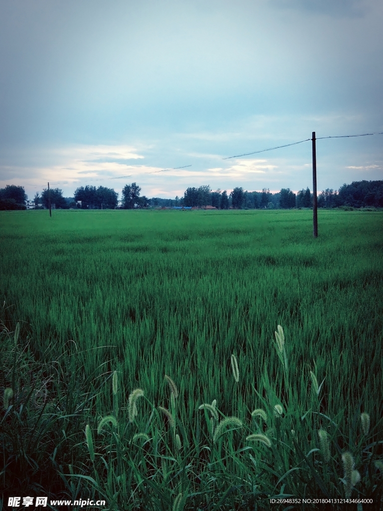 田野风景