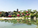 湖上公园