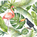 热带植物叶子大嘴鸟火烈鸟背景