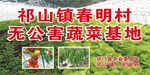 无公害蔬菜