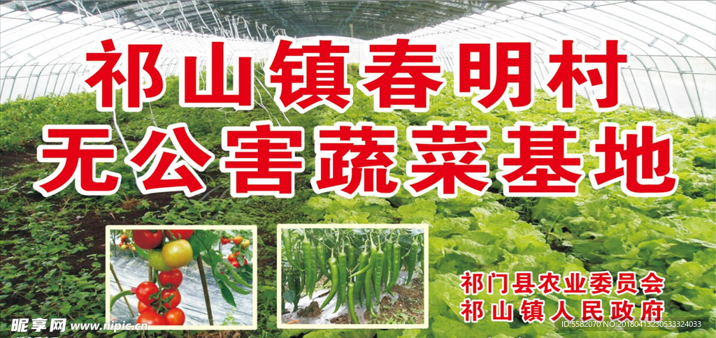 无公害蔬菜