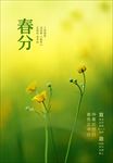 24节气海报