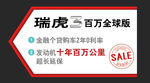 瑞虎3车顶牌