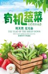 有机蔬菜