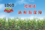 樱桃车贴