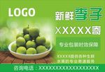 李子车贴海报