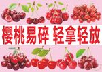 樱桃不干胶 樱桃贴纸