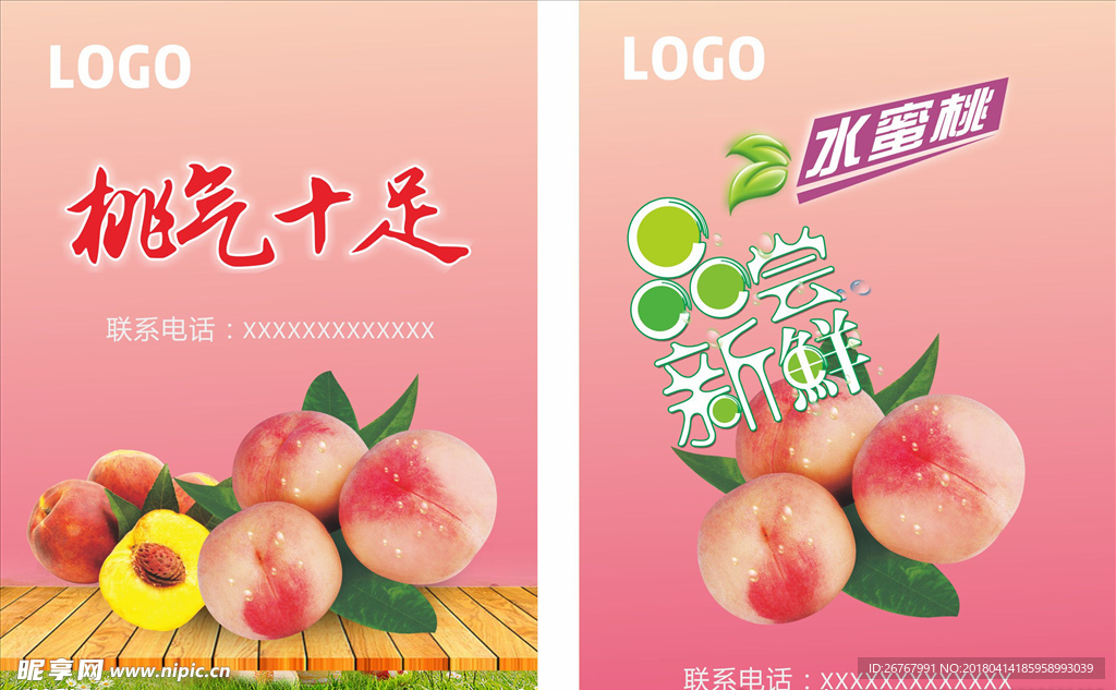 水密桃DM单