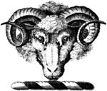 版画系列  插图系列 羊头