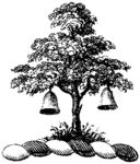 版画系列  插图 树  植物