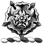 版画系列  插图系列  植物