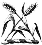 版画系列  插图系列  麦穗