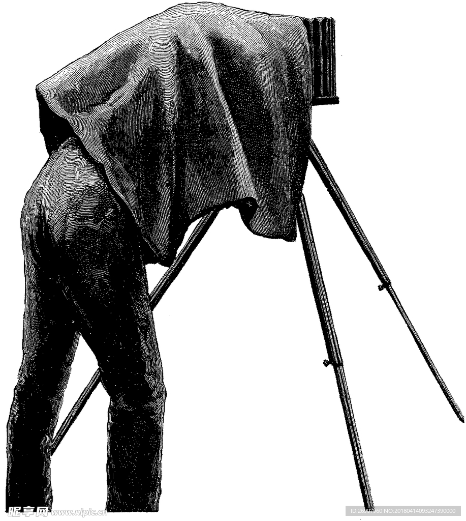 版画系列  插图系列  摄影