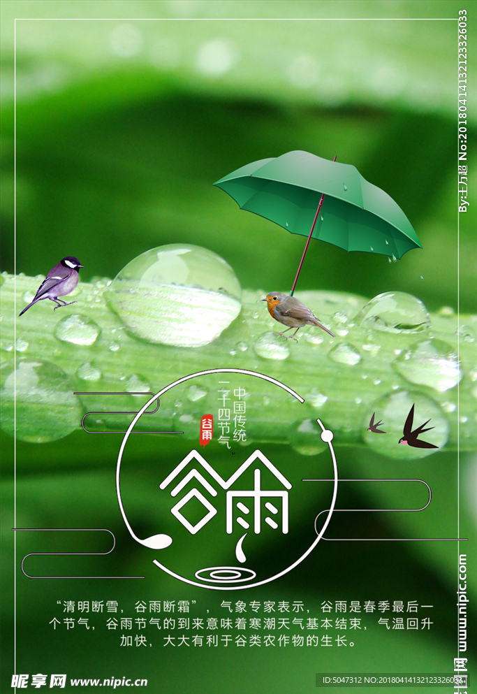 谷雨
