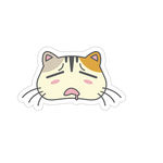 卡通猫图片