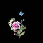 矢量手绘花