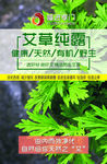 艾草纯露