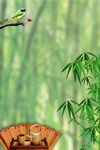 中国风背景