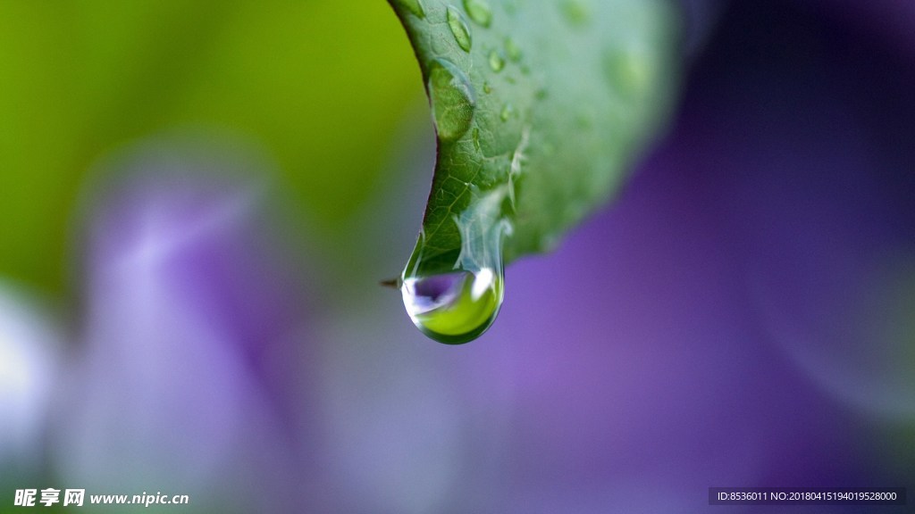 水滴水珠