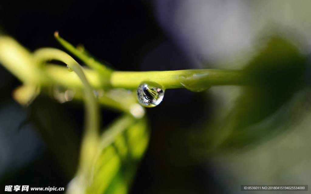 水滴水珠