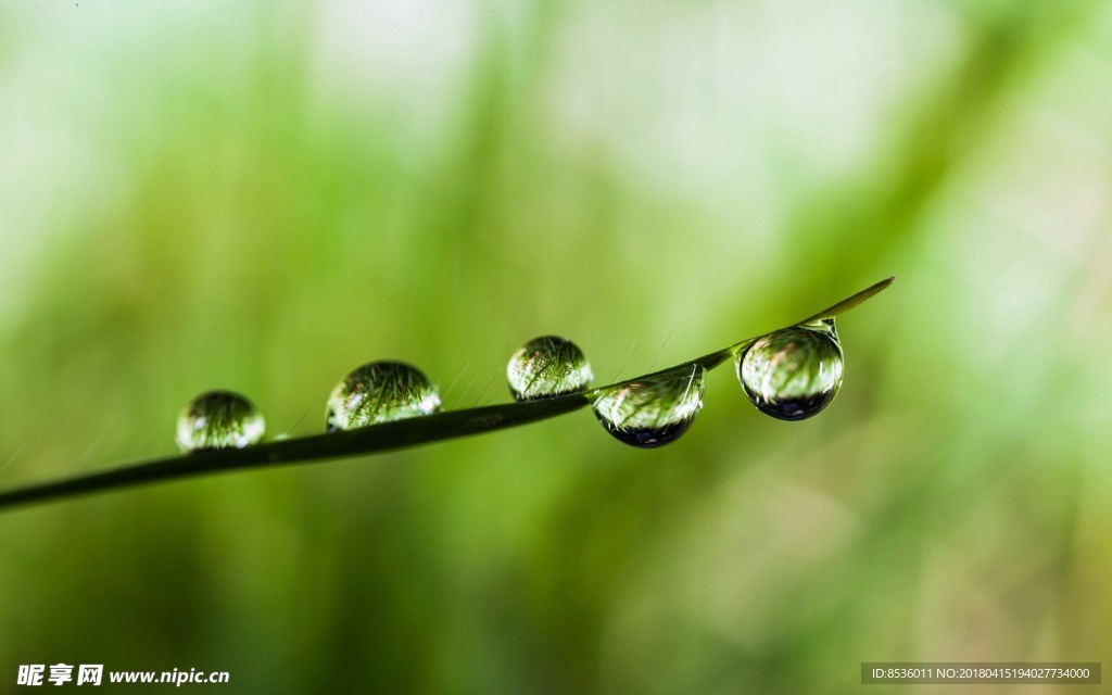 水滴水珠