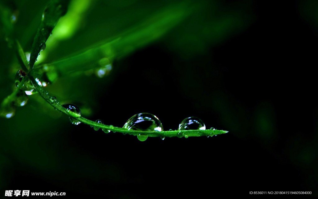 水滴水珠