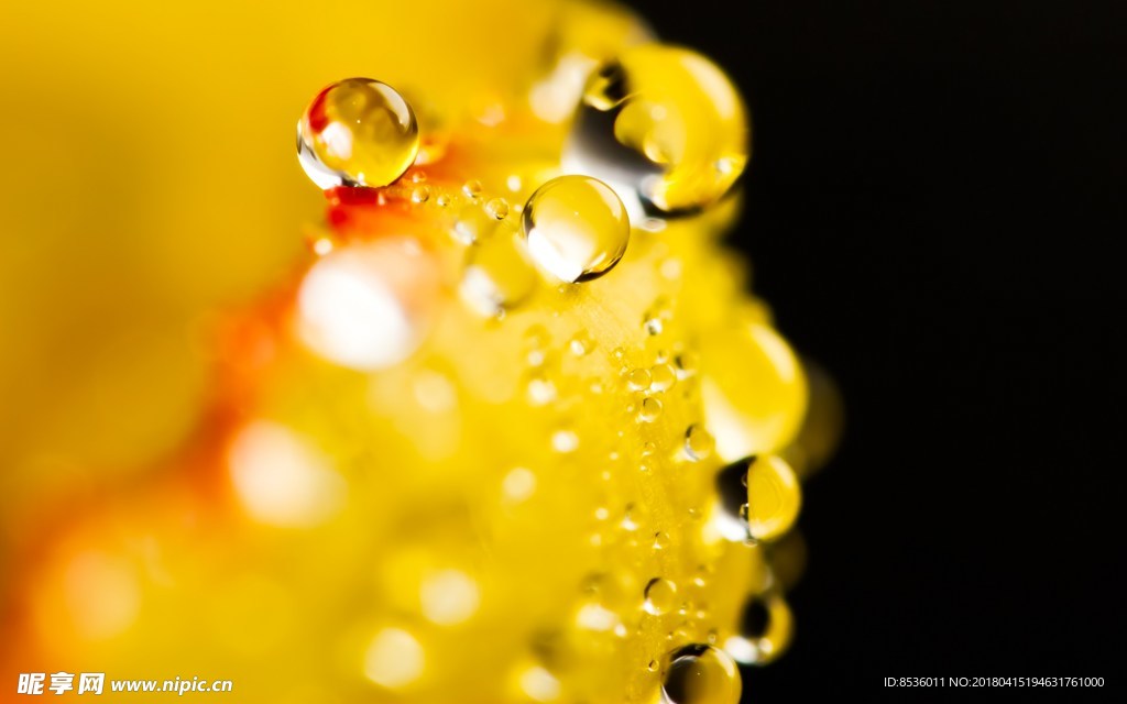 水滴水珠