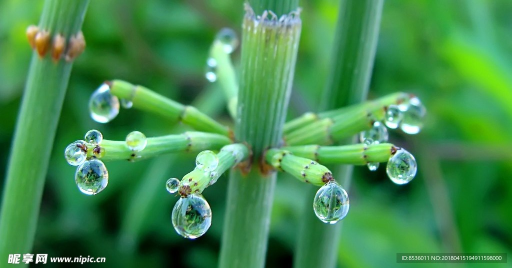 水滴水珠