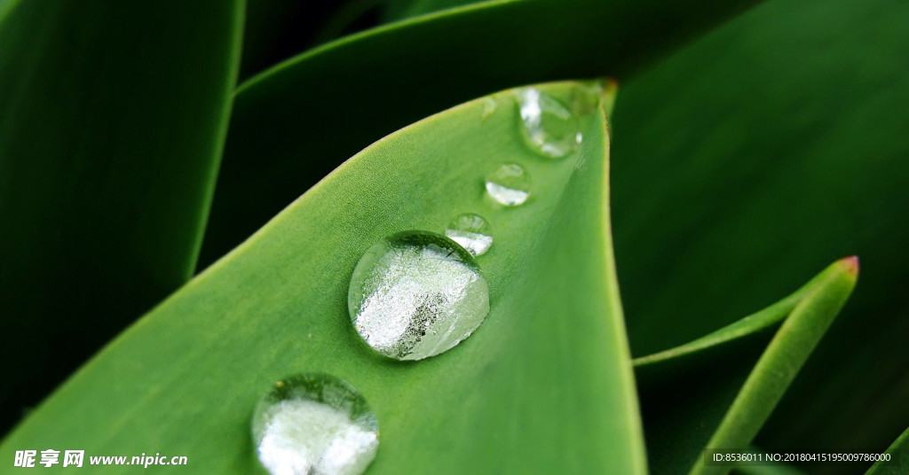 水滴水珠