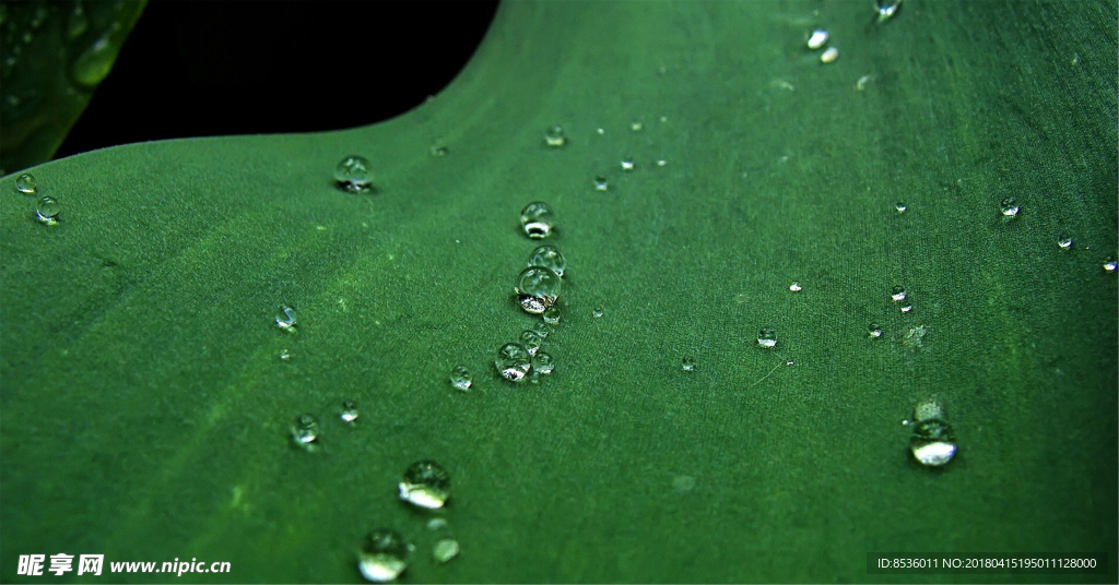 水滴水珠