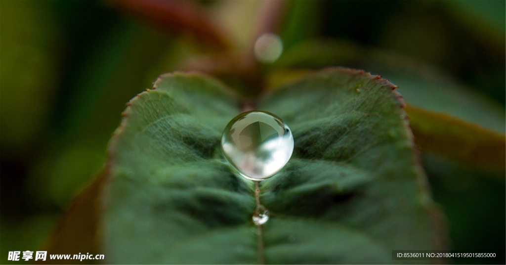 水滴水珠