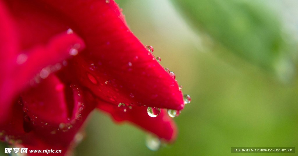 水滴水珠