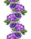高清花卉图片