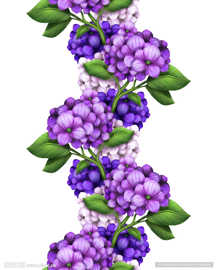 高清花卉图片