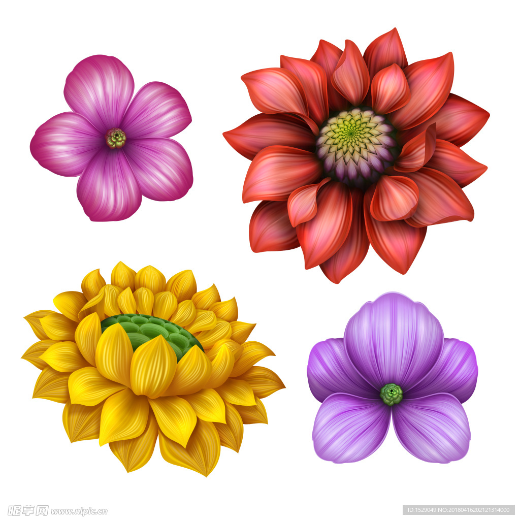 高清花卉图片